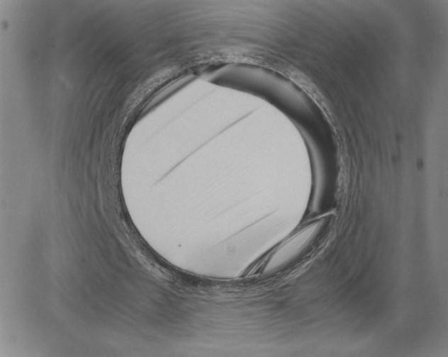 X0000080110481200701051333