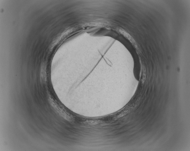 X0000080110482200701051333