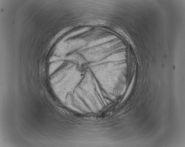 X0000080110483200701051333