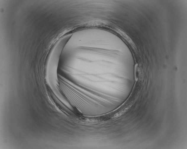 X0000080110485200701051333