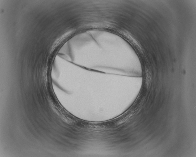 X0000080110486200701051333