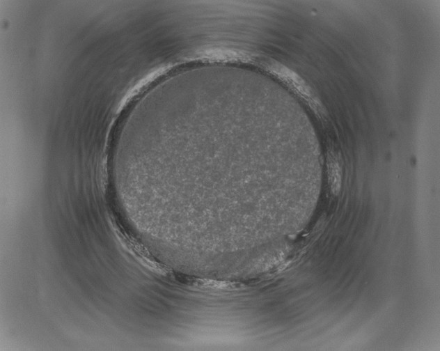 X0000080110488200701051333