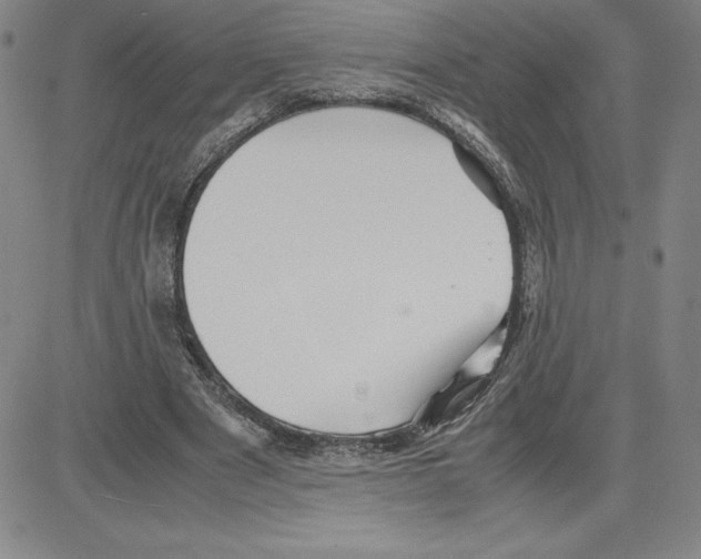 X0000080110489200701051333