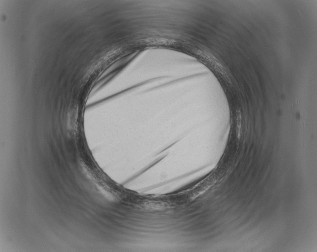 X0000080110490200701051333