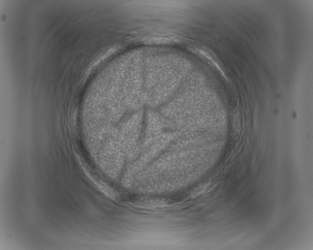 X0000080110491200701051333