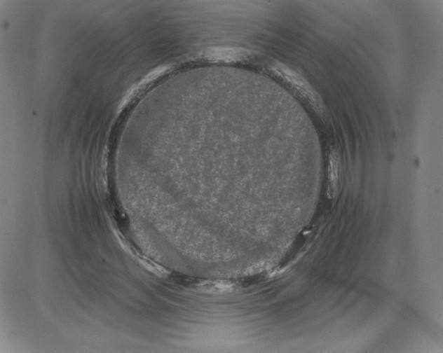 X0000080110492200701051333