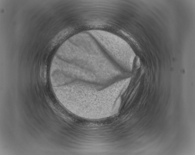 X0000080110494200701051333