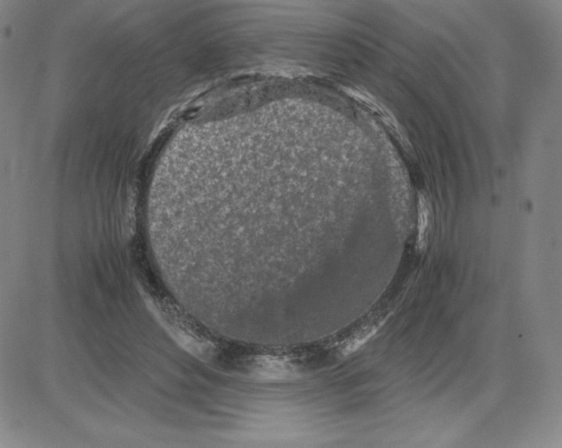 X0000080110496200701051333