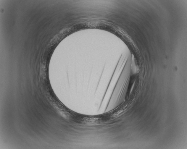 X0000080110497200701051333