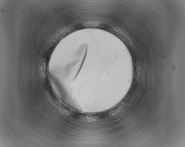 X0000080110498200701051333