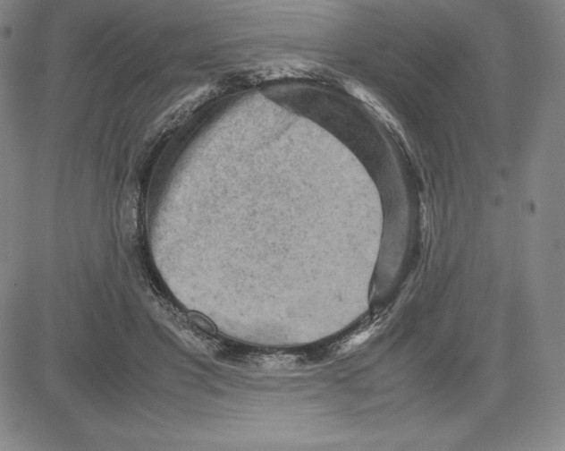 X0000080110501200701051333