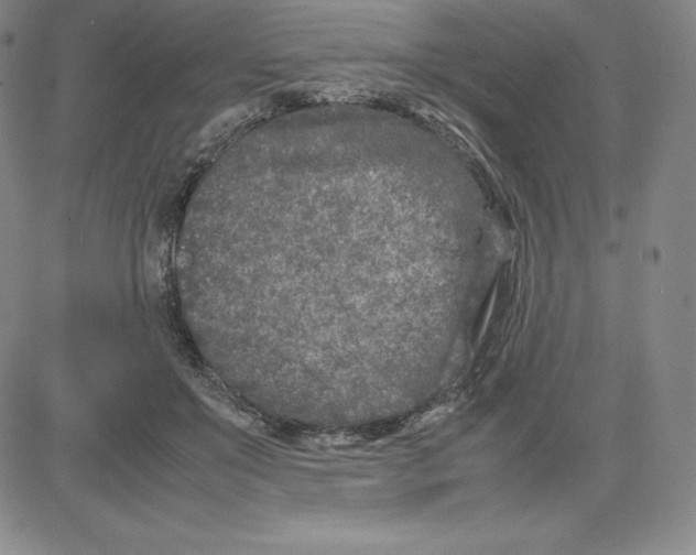 X0000080110503200701051333