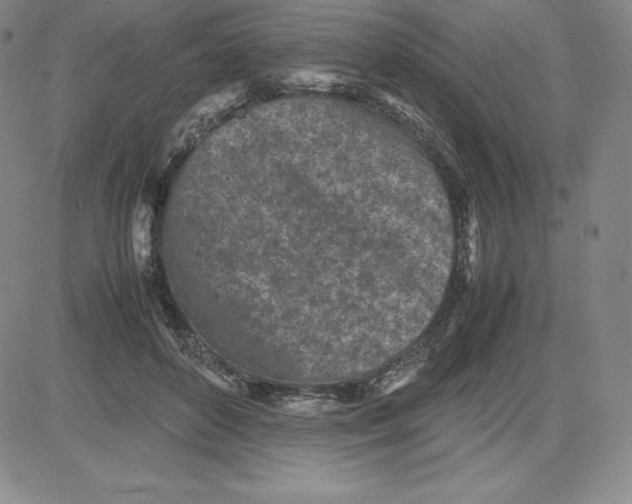 X0000080110504200701051333