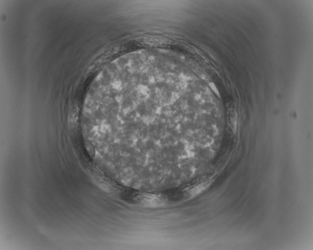 X0000080110507200701051333