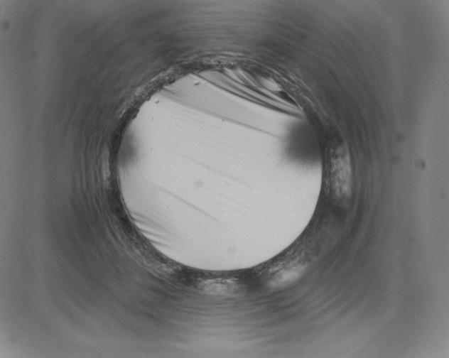 X0000080110508200701051333