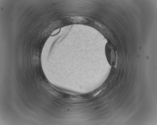 X0000080110510200701051333