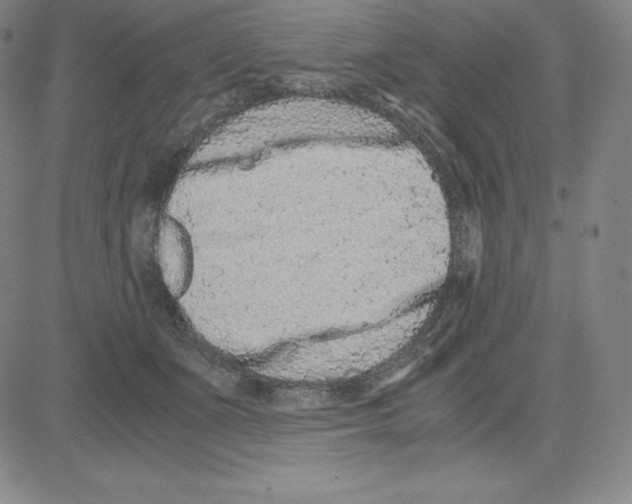 X0000080110511200701051333