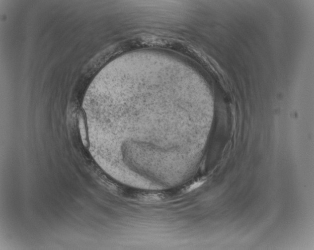 X0000080110513200701051333