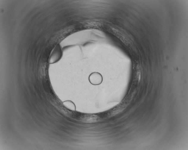 X0000080110514200701051333