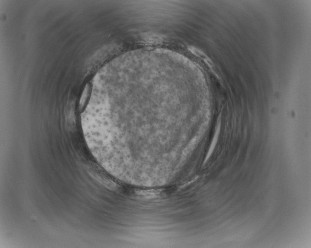 X0000080110516200701051333