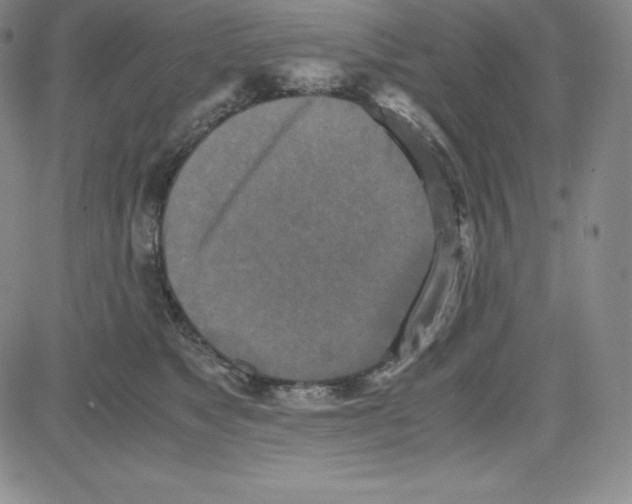 X0000080110517200701051333