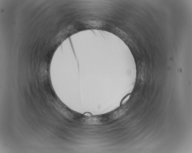 X0000080110518200701051333