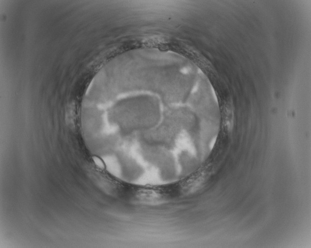 X0000080110519200701051333