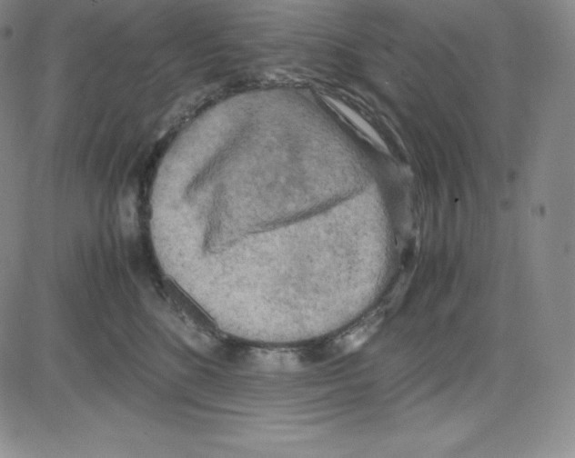 X0000080110520200701051333