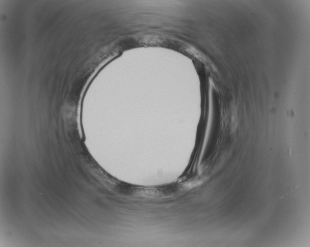 X0000080110521200701051333