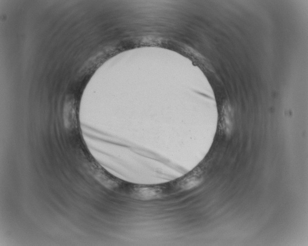 X0000080110522200701051333