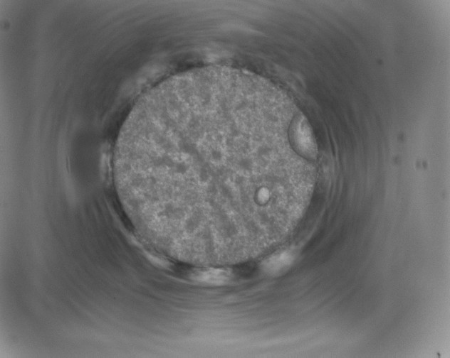 X0000080110527200701051332