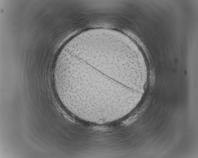 X0000080110529200701051332