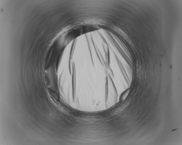 X0000080110530200701051332