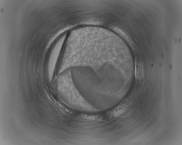 X0000080110531200701051332