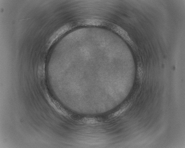 X0000080110534200701051332