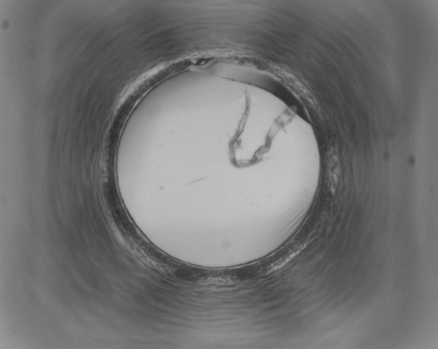 X0000080110536200701051332