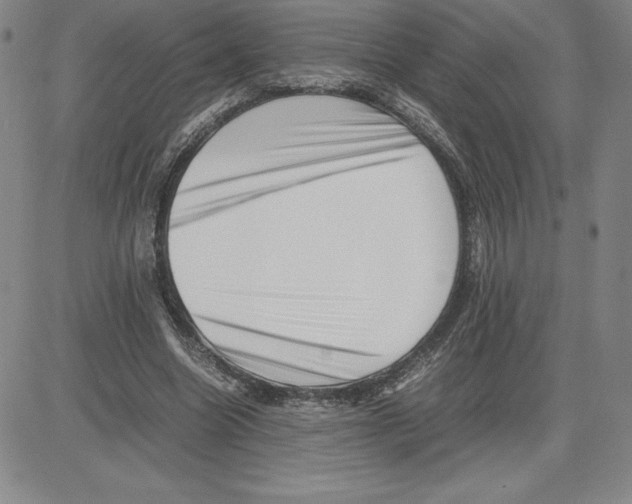 X0000080110538200701051332