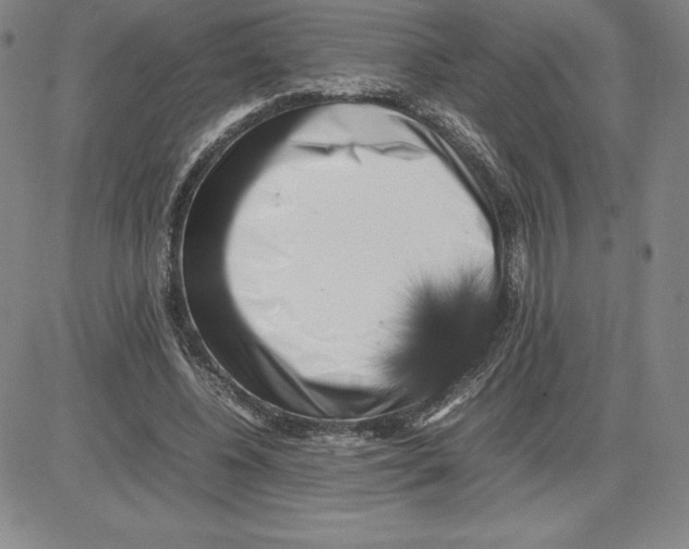 X0000080110540200701051332