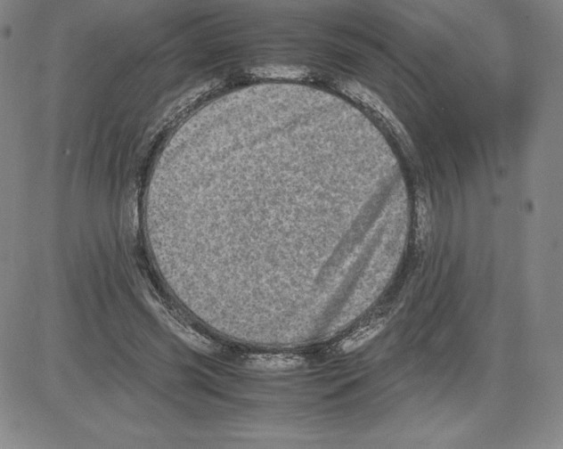 X0000080110541200701051332