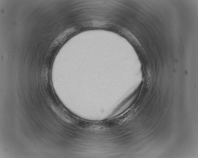 X0000080110542200701051332