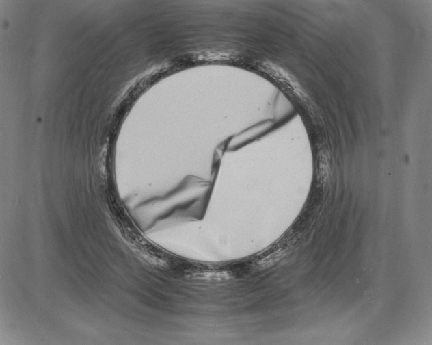 X0000080110543200701051332