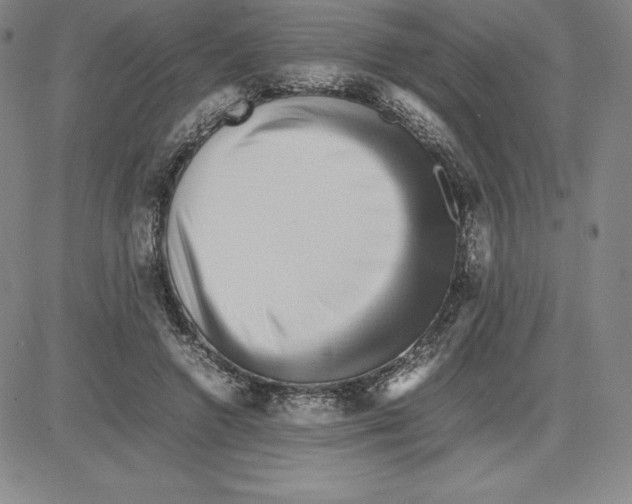 X0000080110546200701051332