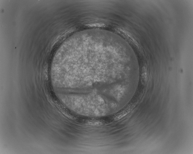 X0000080110547200701051332