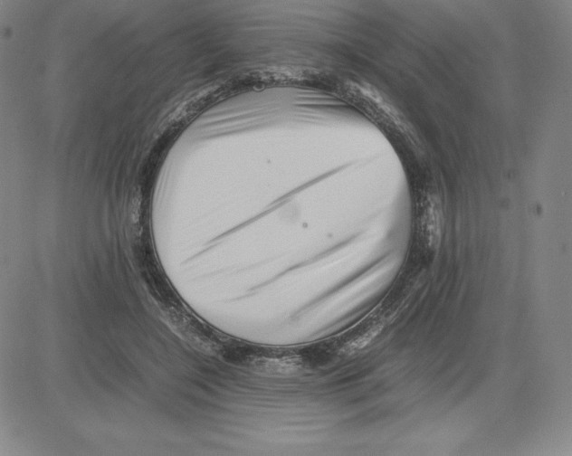 X0000080110548200701051332