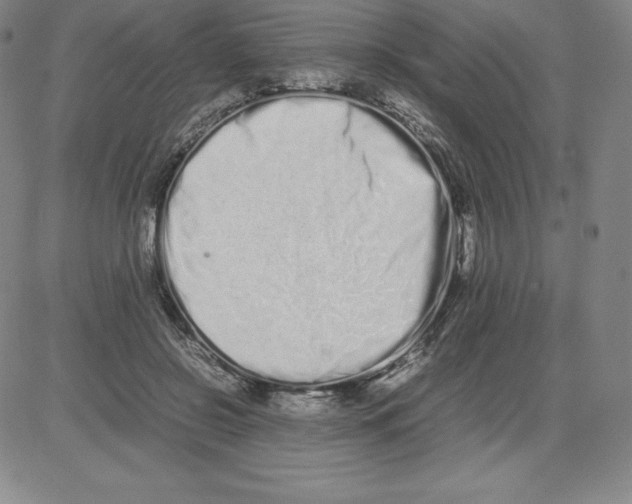 X0000080110550200701051332