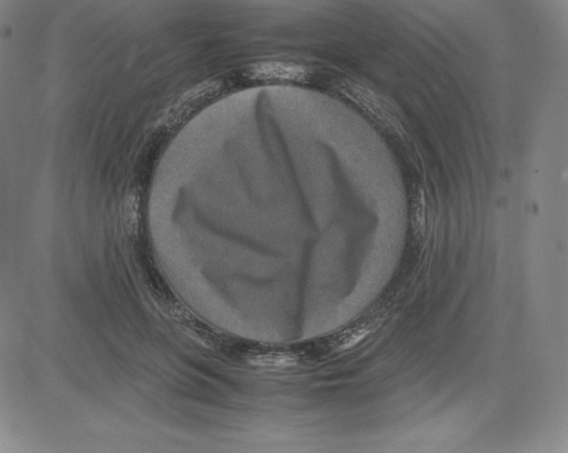 X0000080110551200701051332