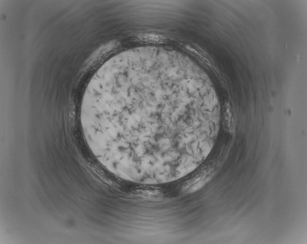 X0000080110552200701051332