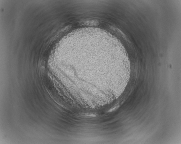 X0000080110553200701051332