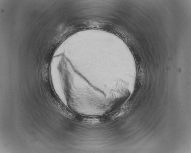 X0000080110554200701051332