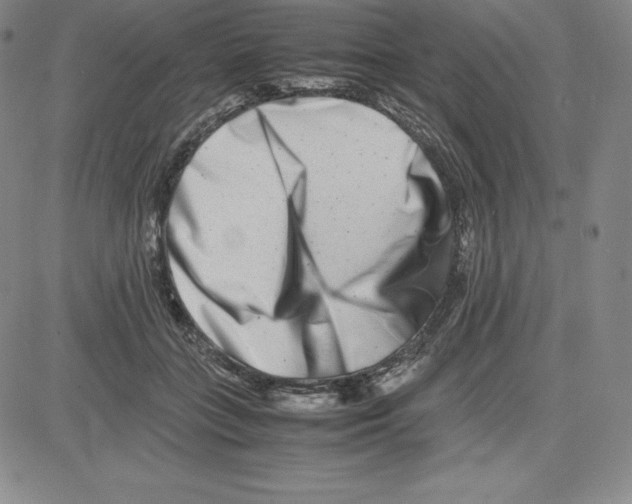 X0000080110555200701051332